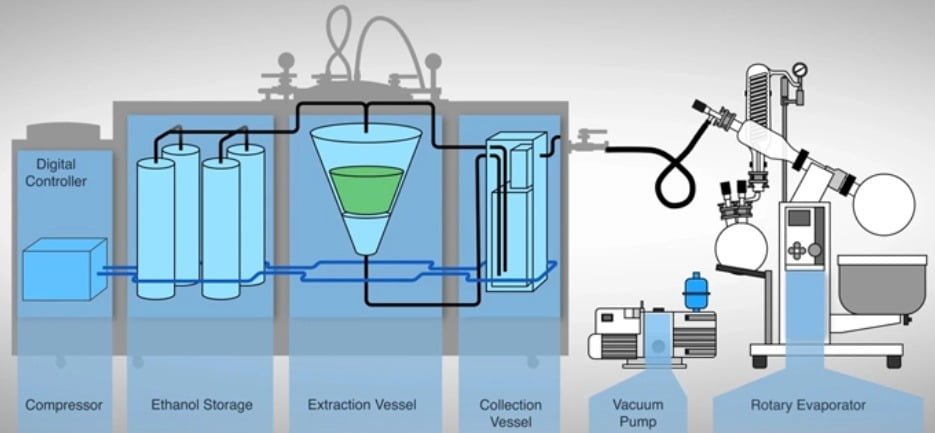 The Extraction Process